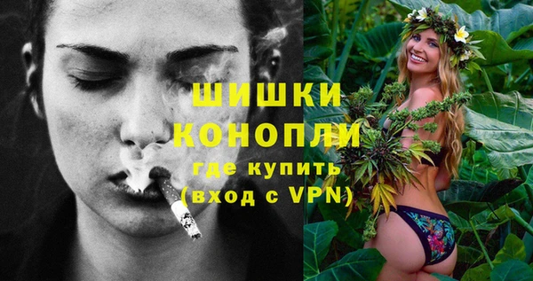 индика Белокуриха