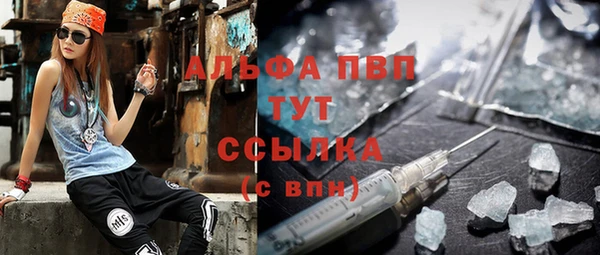 индика Белокуриха